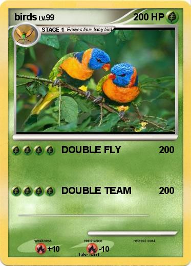Pokemon birds