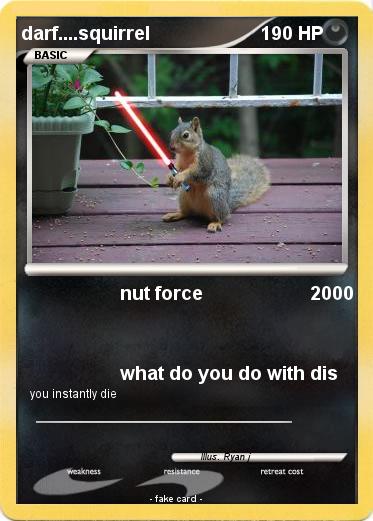Pokemon darf....squirrel