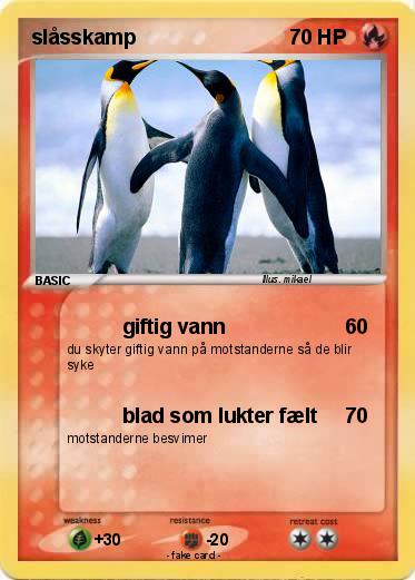 Pokemon slåsskamp