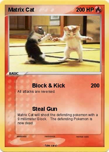 Pokemon Matrix Cat