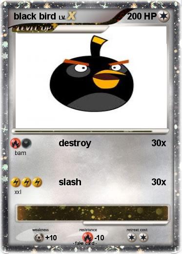 Pokemon black bird