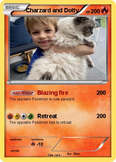 Pokemon Charzard and Dotty