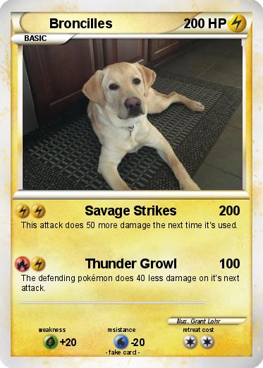 Pokemon Broncilles
