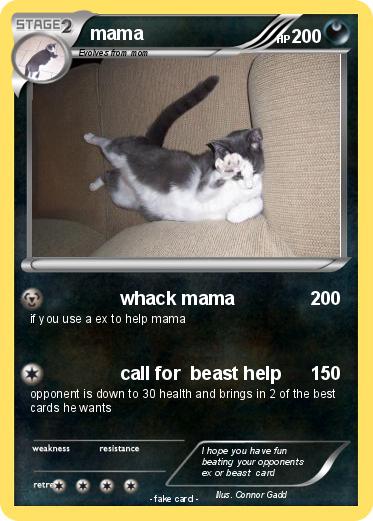 Pokemon mama