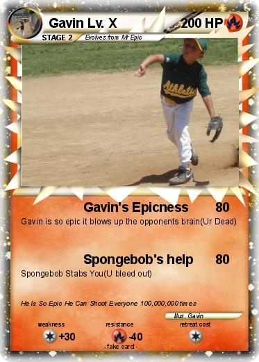 Pokemon Gavin Lv. X