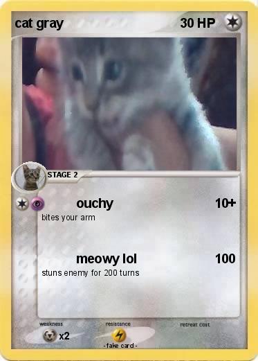 Pokemon cat gray