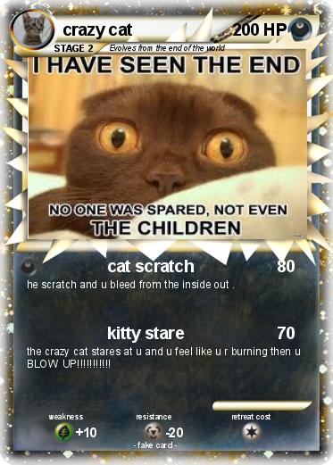 Pokemon crazy cat