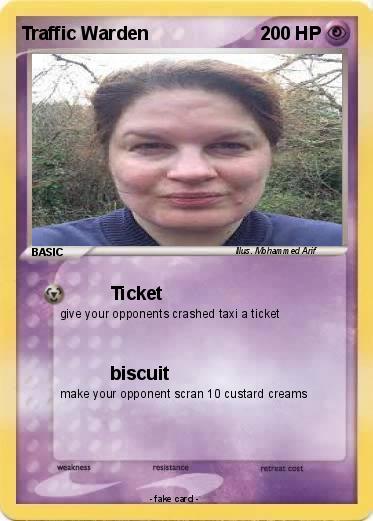 Pokemon Traffic Warden
