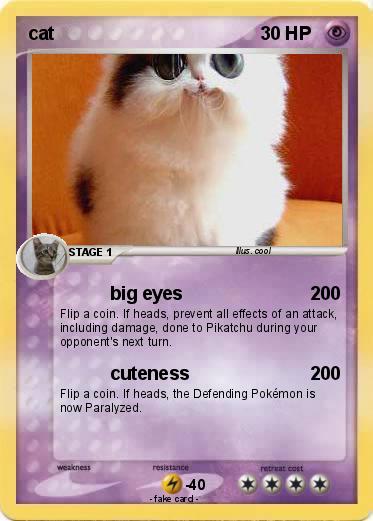 Pokemon cat