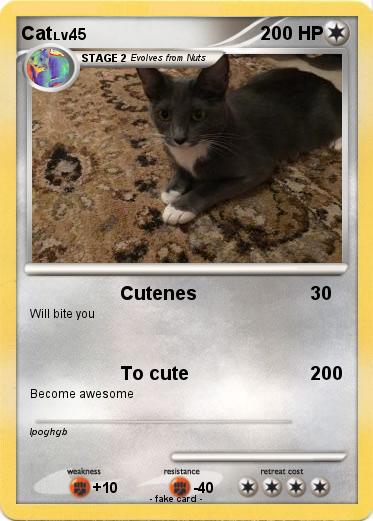 Pokemon Cat