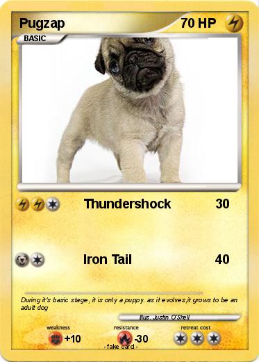 Pokemon Pugzap