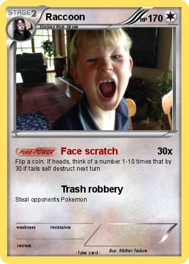 Pokemon Raccoon
