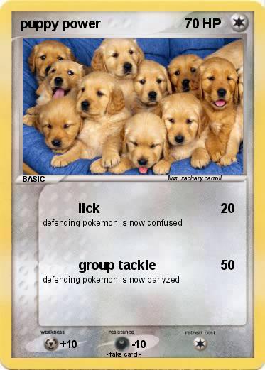 Pokemon puppy power