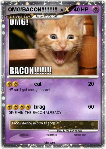 Pokemon OMG!BACON!!!!!!!!!!