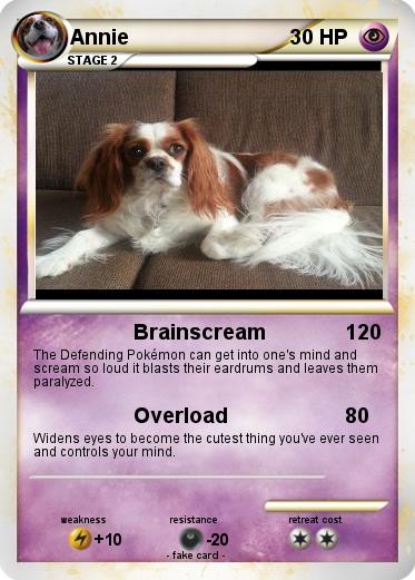Pokemon Annie
