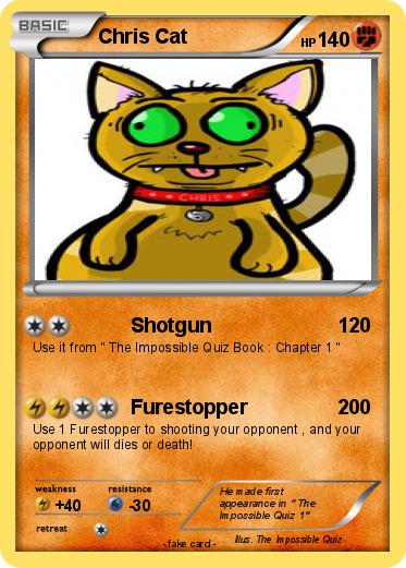 Pokemon Chris Cat
