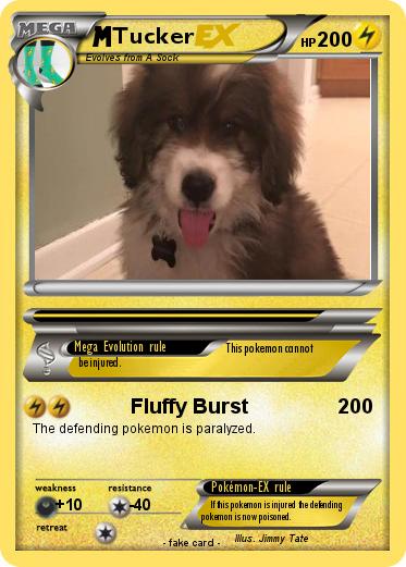 Pokemon Tucker