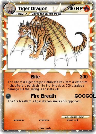 Pokemon Tiger Dragon