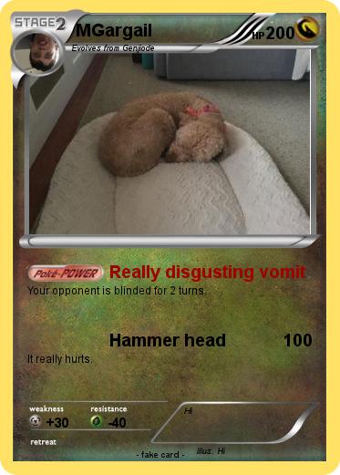 Pokemon MGargail