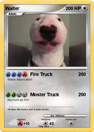 Pokemon Walter