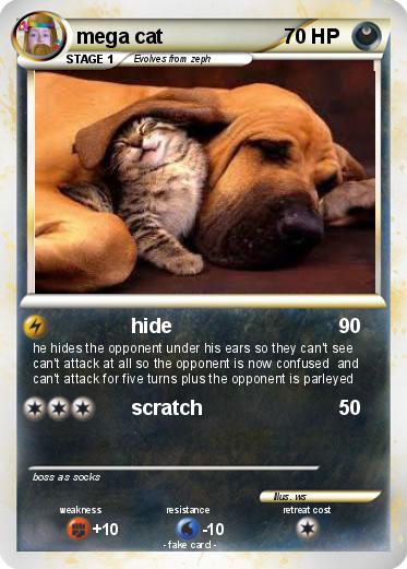 Pokemon mega cat