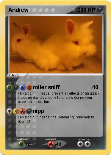 Pokemon Andrew