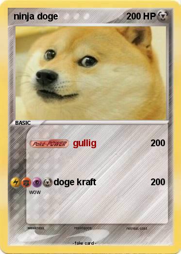 Pokemon ninja doge
