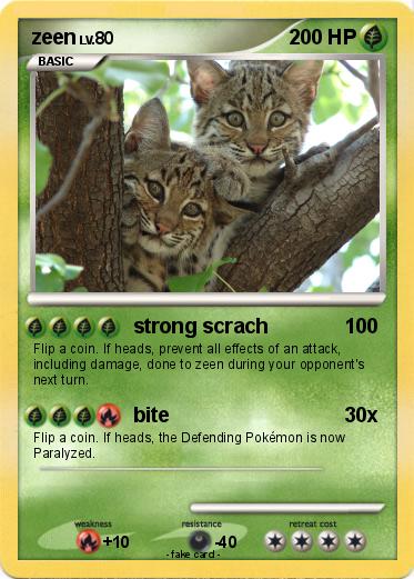 Pokemon zeen