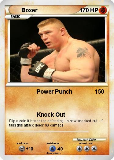 Pokemon Boxer