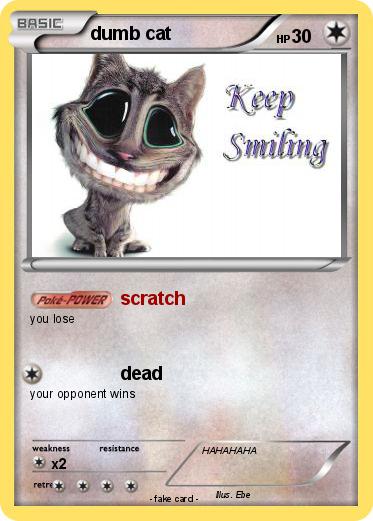 Pokemon dumb cat