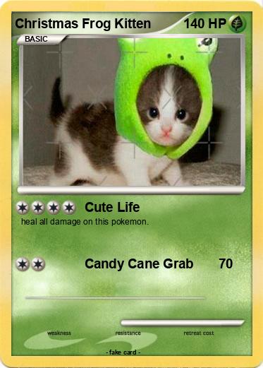 Pokemon Christmas Frog Kitten