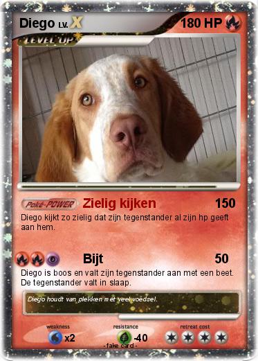 Pokemon Diego