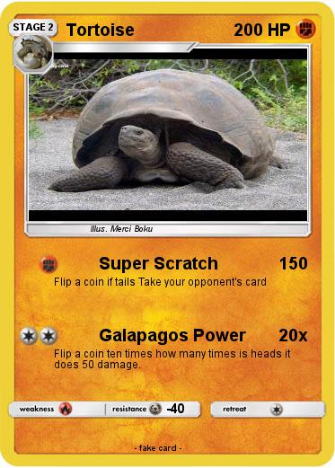 Pokemon Tortoise
