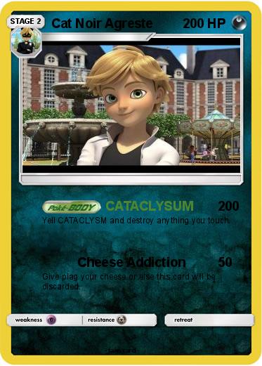 Pokemon Cat Noir Agreste