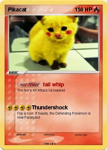 Pokemon Pikacat