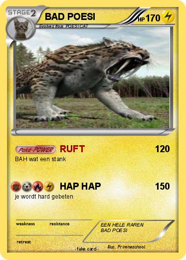 Pokemon BAD POESI