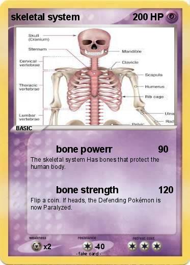 Pokemon skeletal system