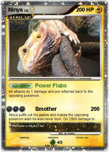 Pokemon Ninya