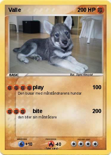 Pokemon Valle