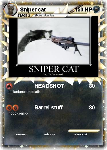 Pokemon Sniper cat