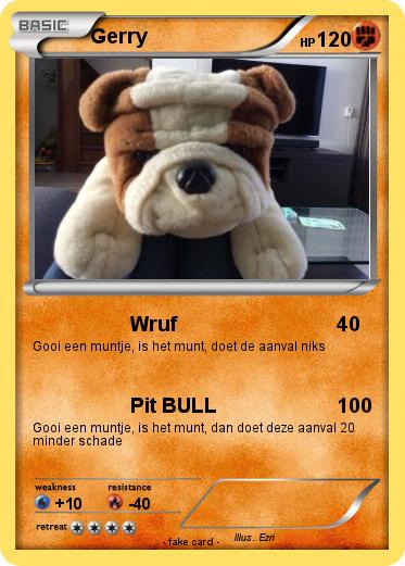 Pokemon Gerry