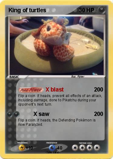 Pokemon King of turtles