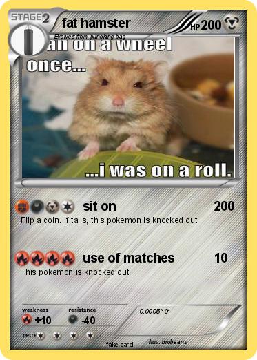 Pokemon fat hamster