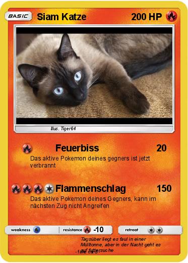 Pokemon Siam Katze