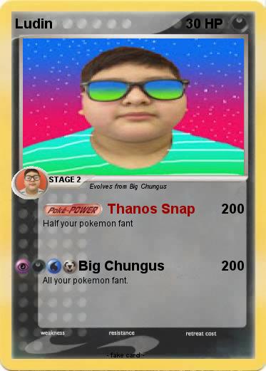 Pokemon Ludin
