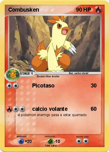 Pokemon Combusken