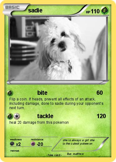 Pokemon sadie