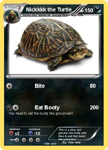 Pokemon Nickkkk the Turtle