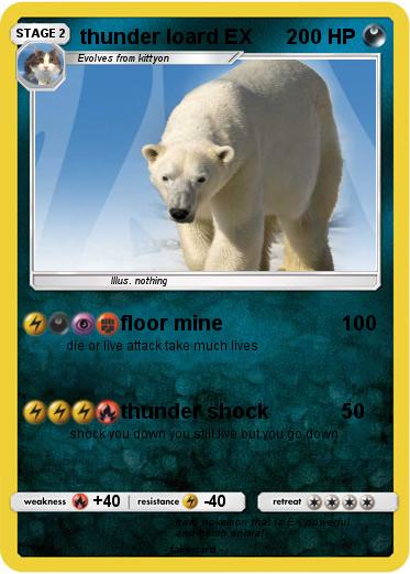 Pokemon thunder loard EX