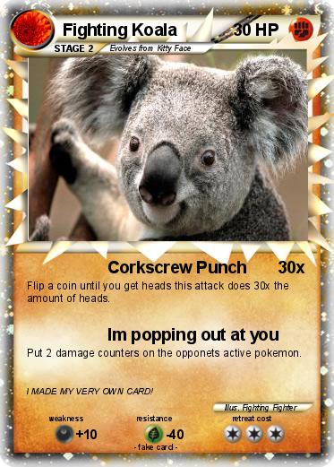 Pokemon Fighting Koala